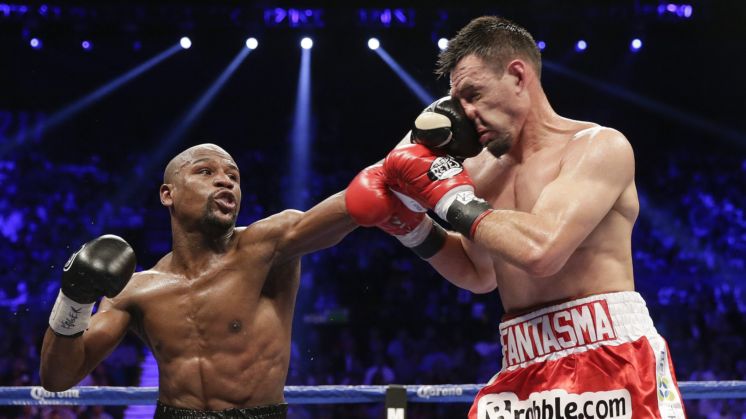 未来之星：关注潜力股的成长轨迹，未来之星指什么人物